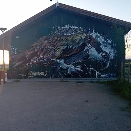 Casa Dos Avos Veras Aveiro