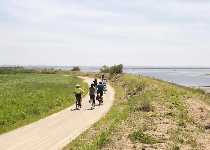 Tatil Evi Casa Dos Avos Veras Aveiro