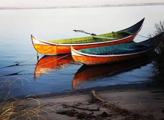 Casa Dos Avos Veras * Авейру